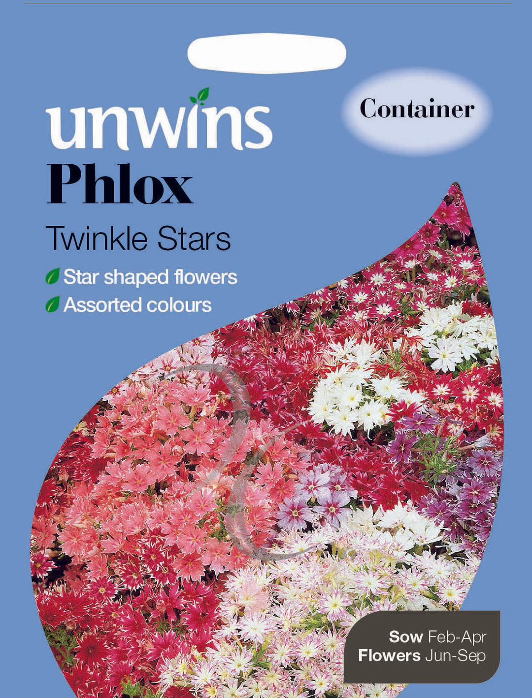 Phlox Twinkle Stars
