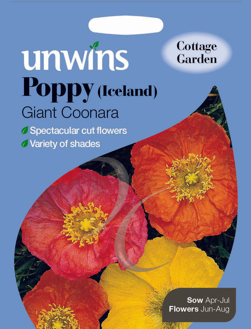 Poppy Iceland Giant Coonara