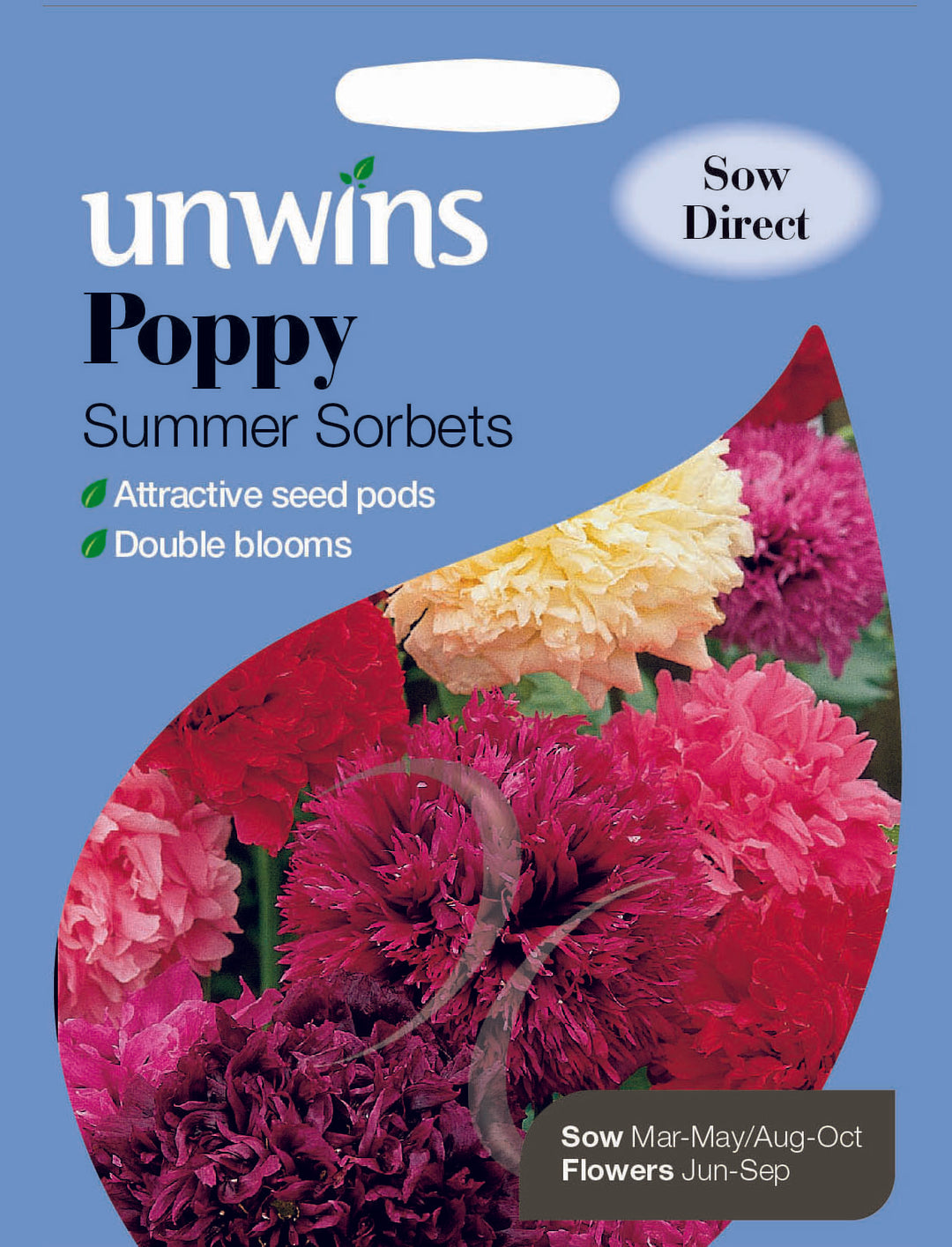 Poppy Summer Sorbets