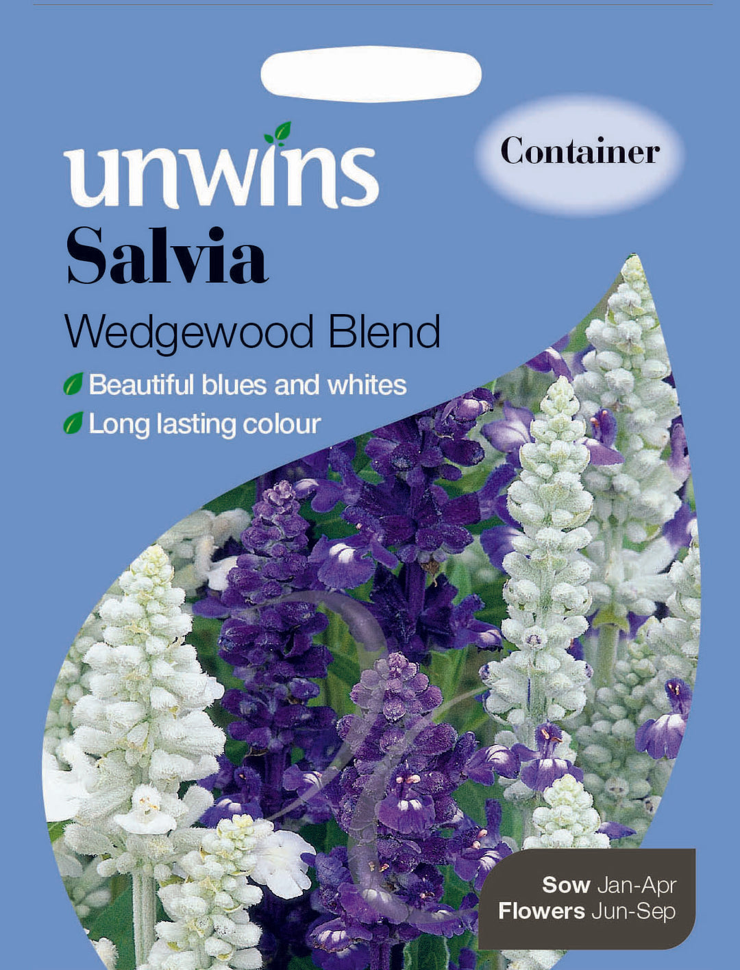 Salvia Wedgewood Blend