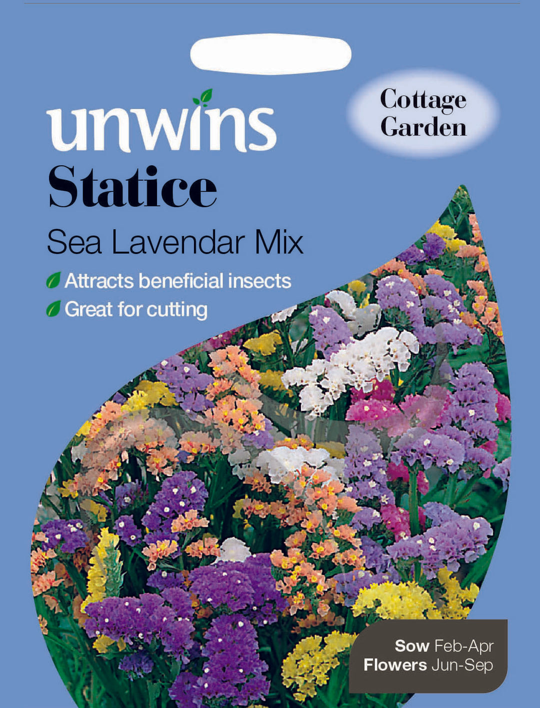 Statice Sea Lavender Mix
