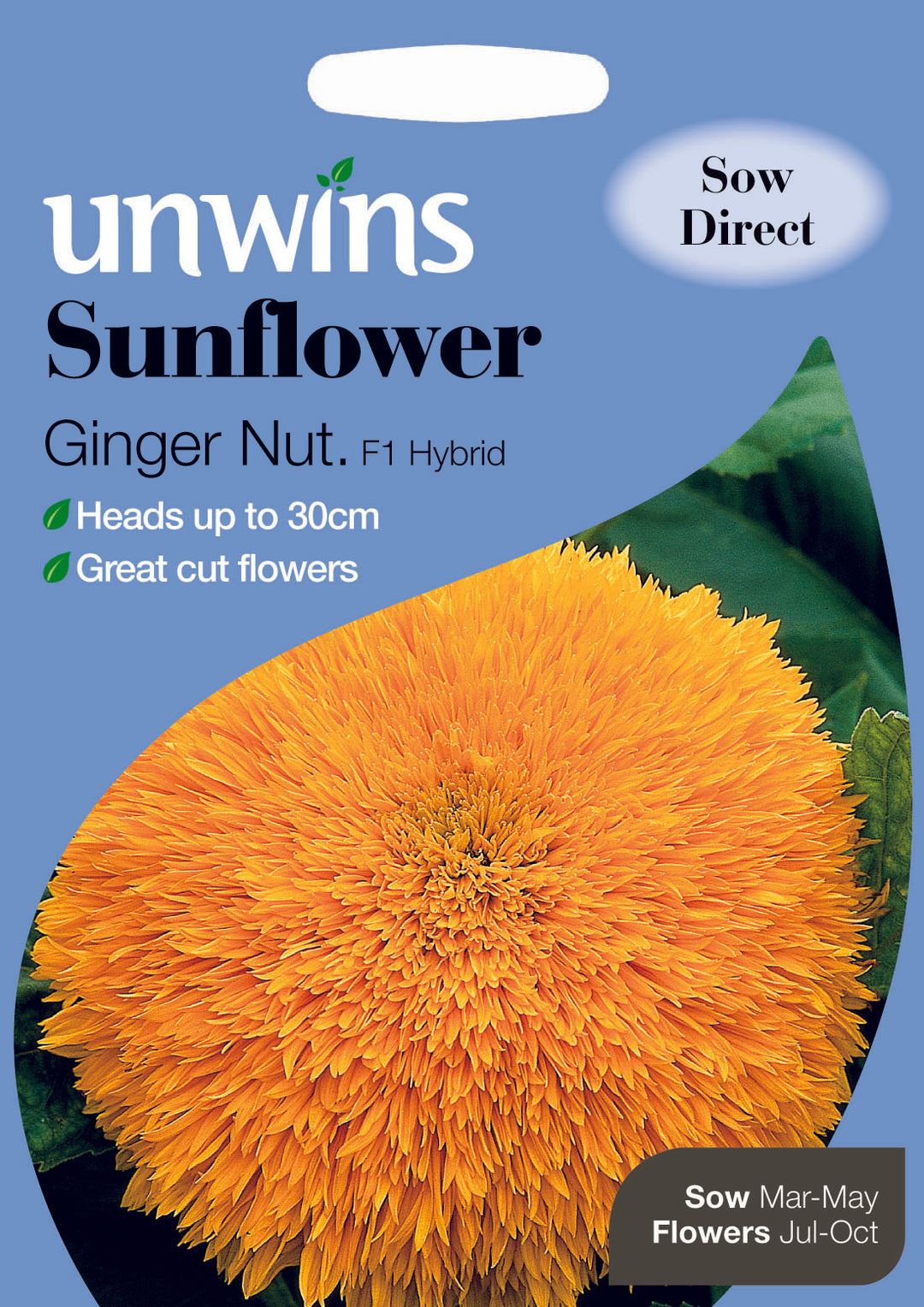 Sunflower Ginger Nut F1