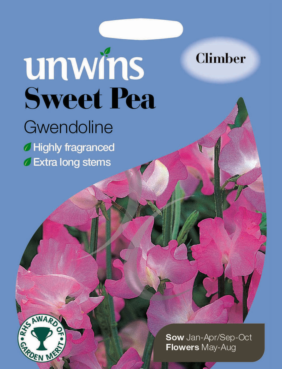 Sweet Pea Gwendoline - Seed Packets - Windyridge Garden Centre