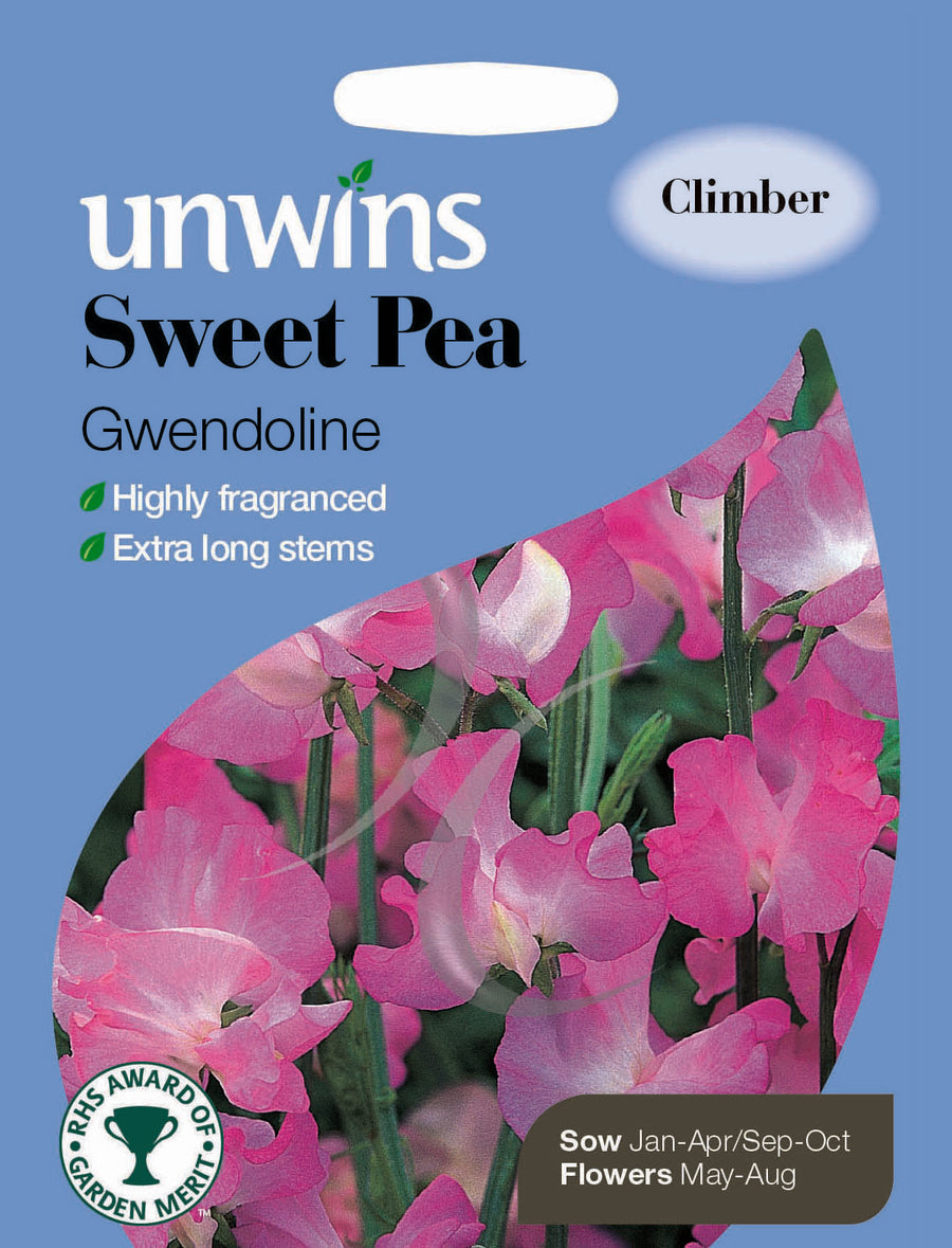 Sweet Pea Gwendoline - Seed Packets - Windyridge Garden Centre