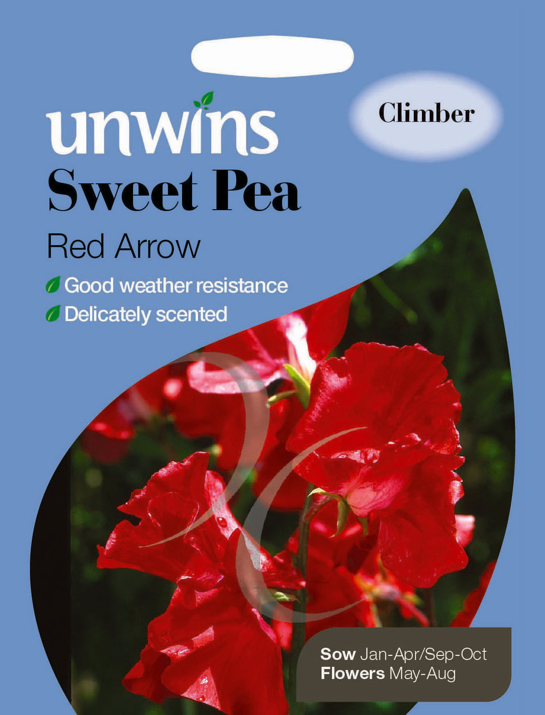 Sweet Pea Red Arrow - Seed Packets - Windyridge Garden Centre