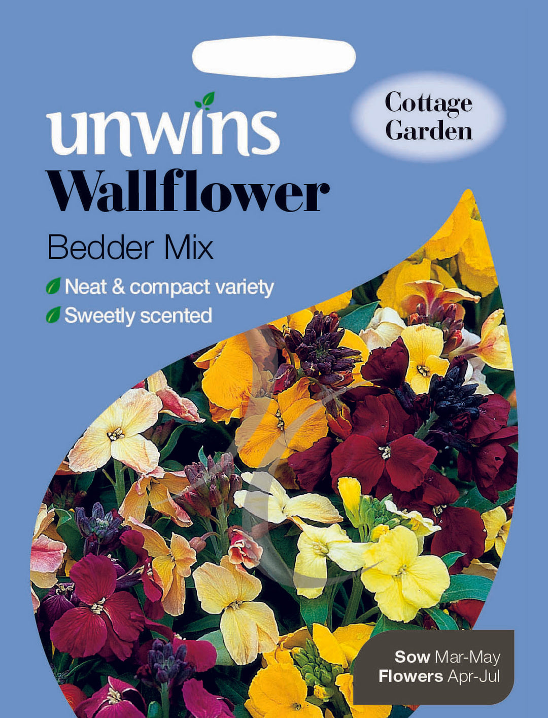 Wallflower Bedder Mix