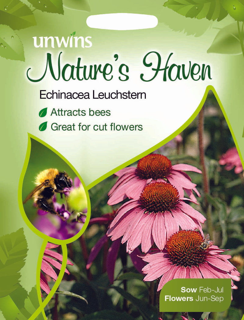 NH Echinacea Leuchstern