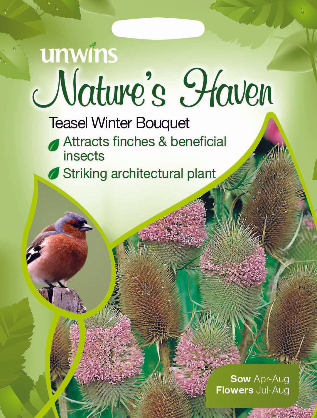 NH Teasel Winter Bouquet