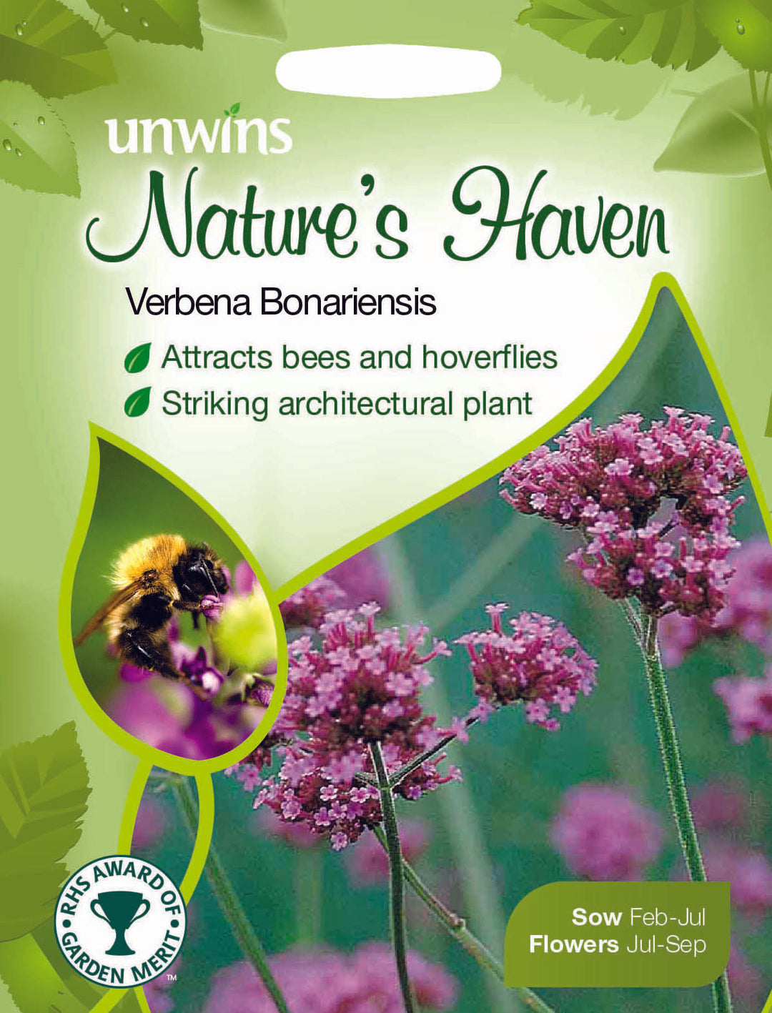NH Verbena Bonariensis