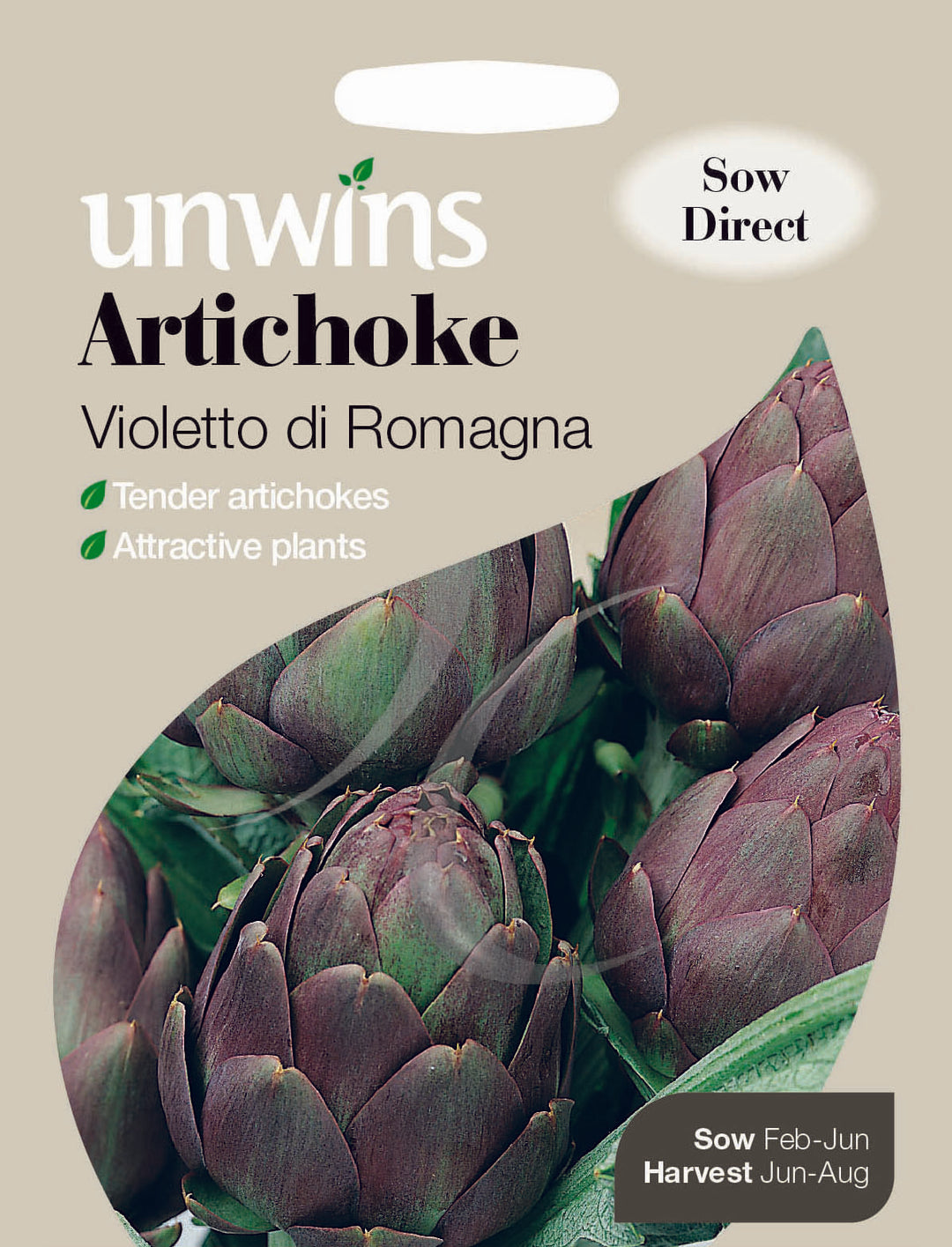 Artichoke Violetto di Romagna