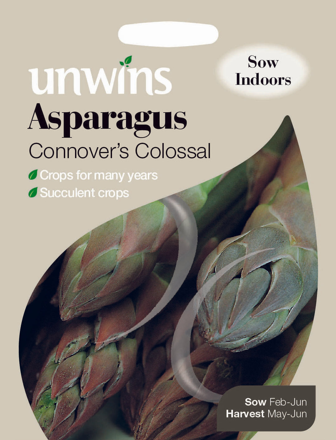 Asparagus Connover s Colossal