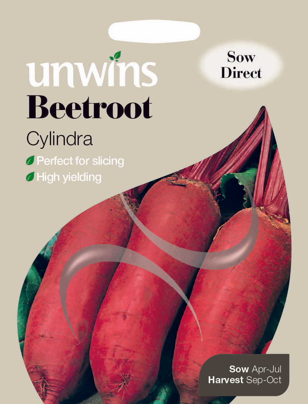 Beetroot Cylindra