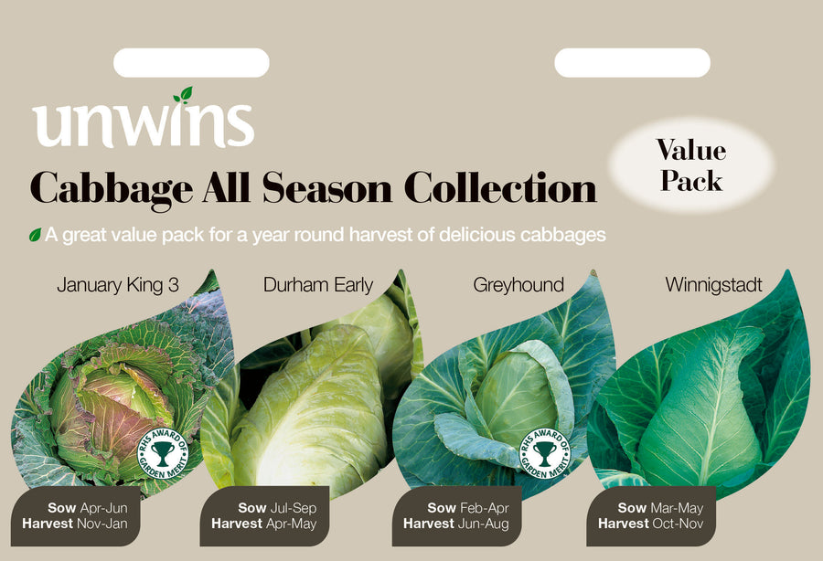Cabbage Ridges Buy Cabbage All Season Collection Online | Windyridge Garden Centre ...