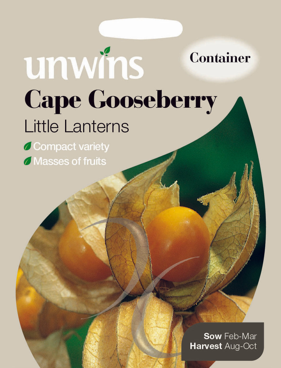 Cape Gooseberry Little Lanterns