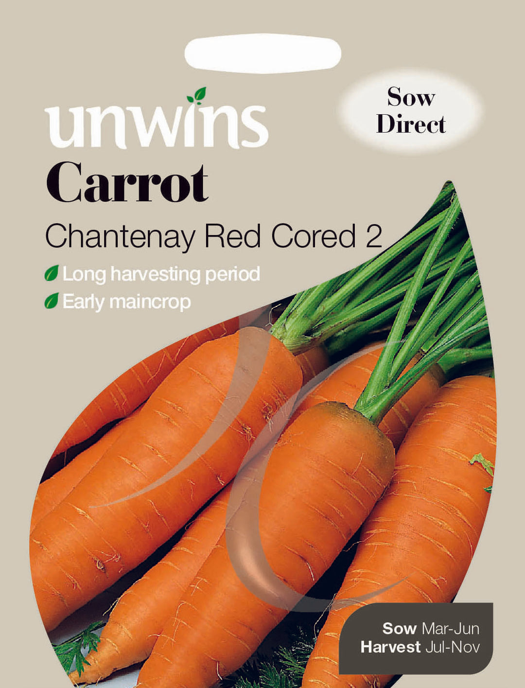 Carrot Chantenay Red Cored 2