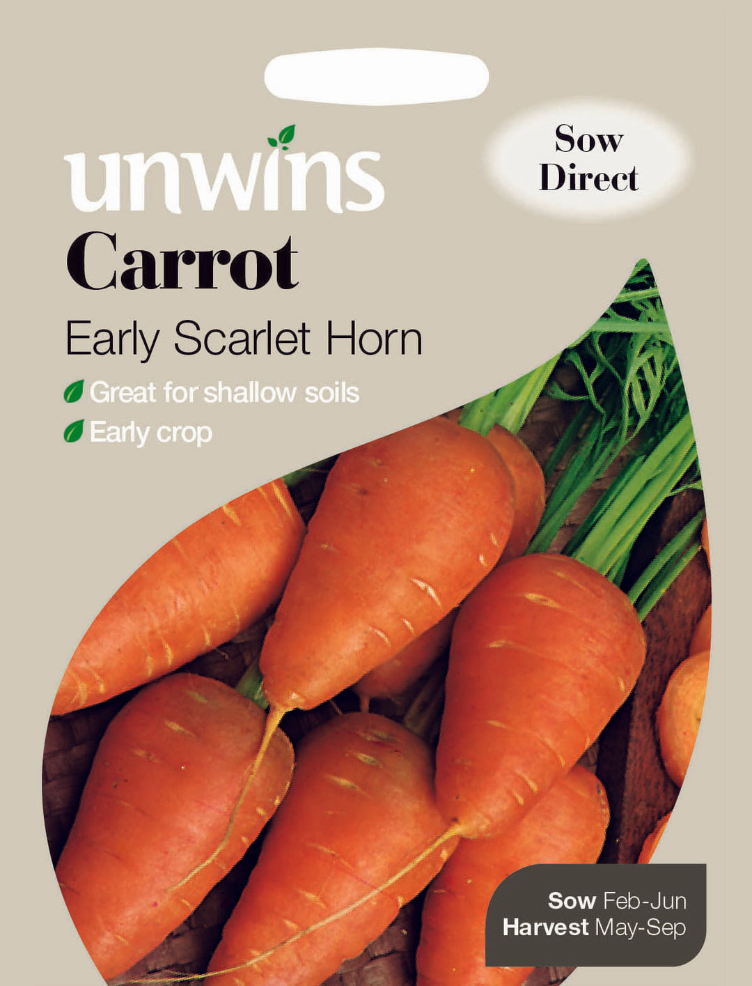 Carrot Early Scarlet Horn