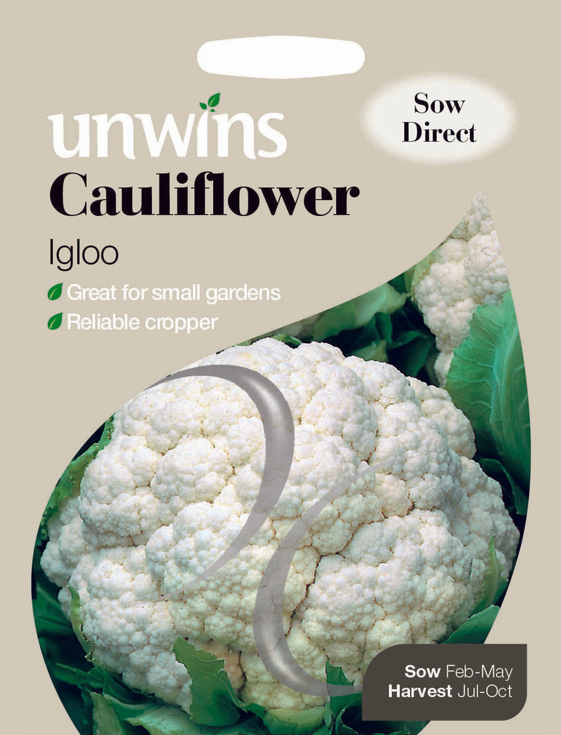 Cauliflower Igloo