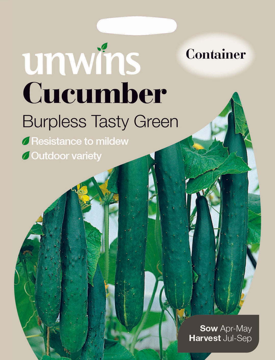 Cucumber Burpless Tasty Green