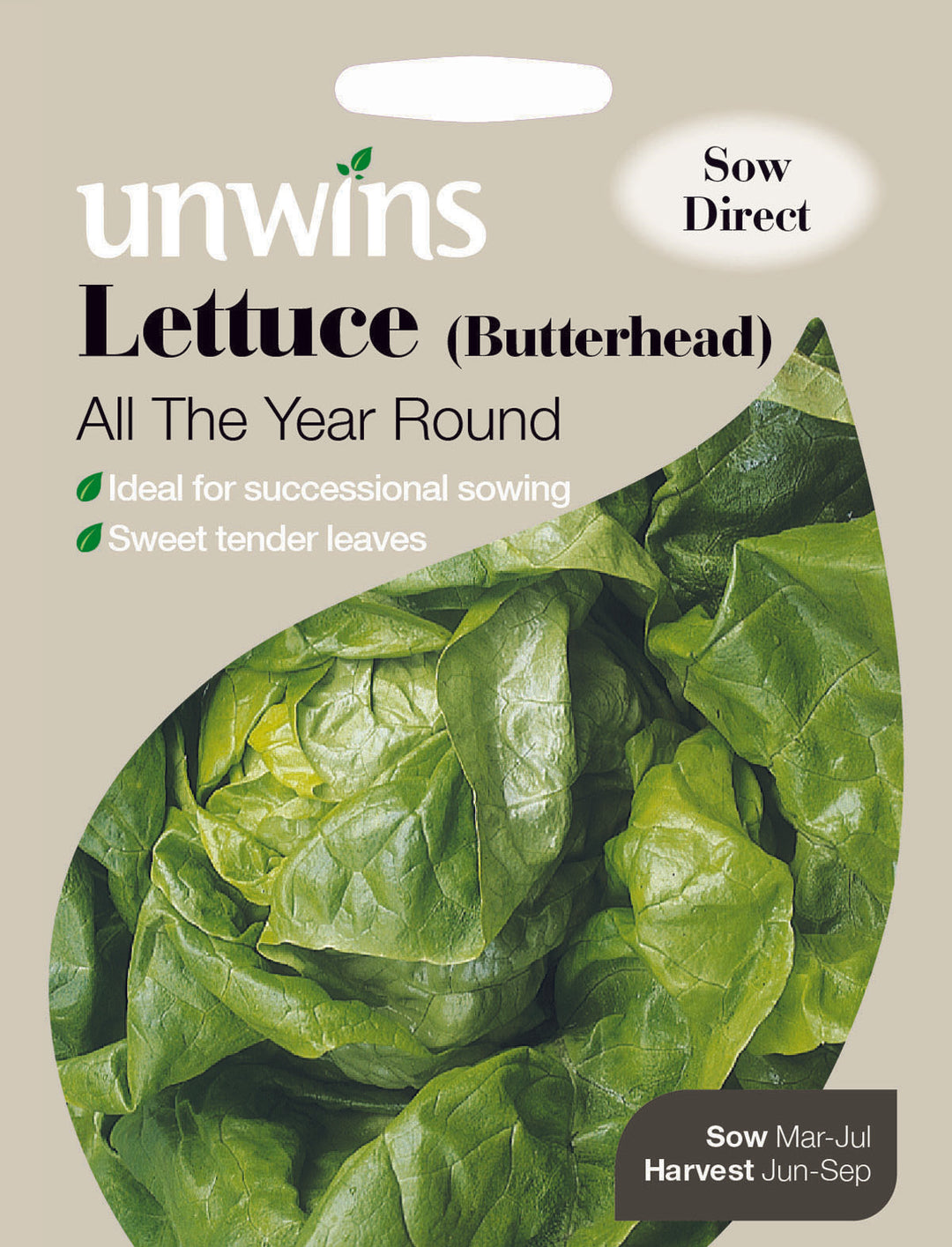 Lettuce (Buttehead) All The Year Round