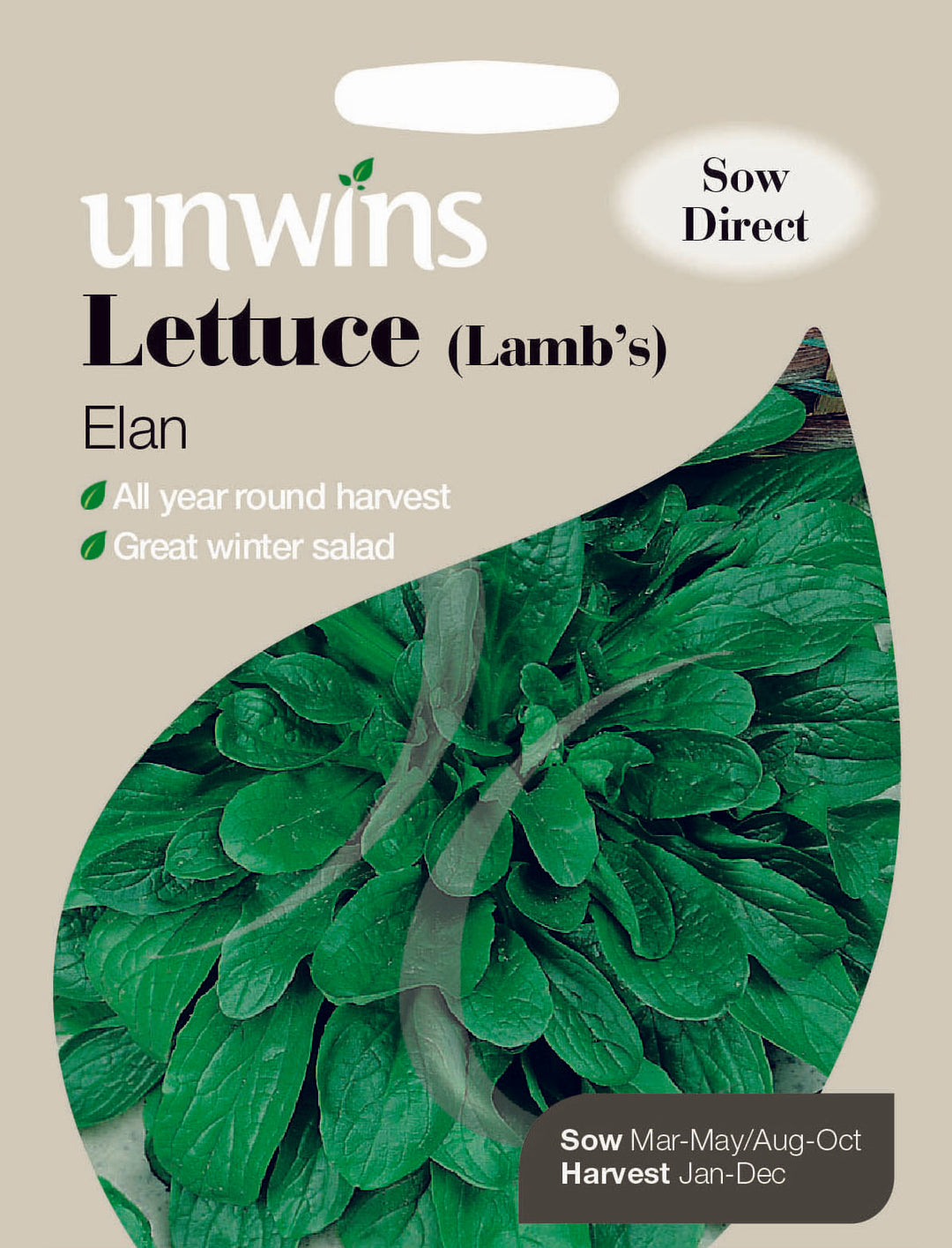Lettuce (Lamb s) Elan