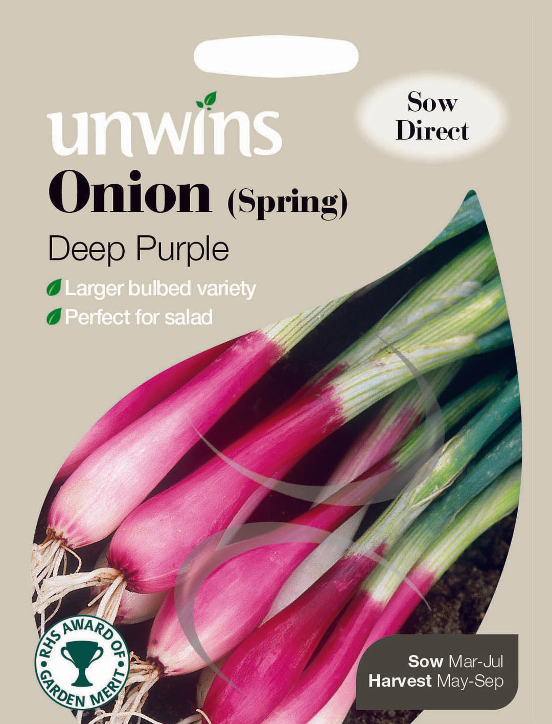 Onion Spring Deep Purple