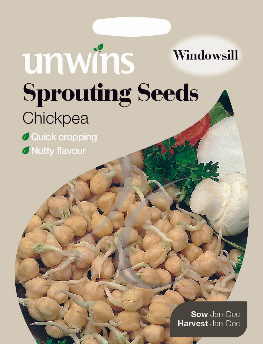 Sprouting Seeds Chickpea