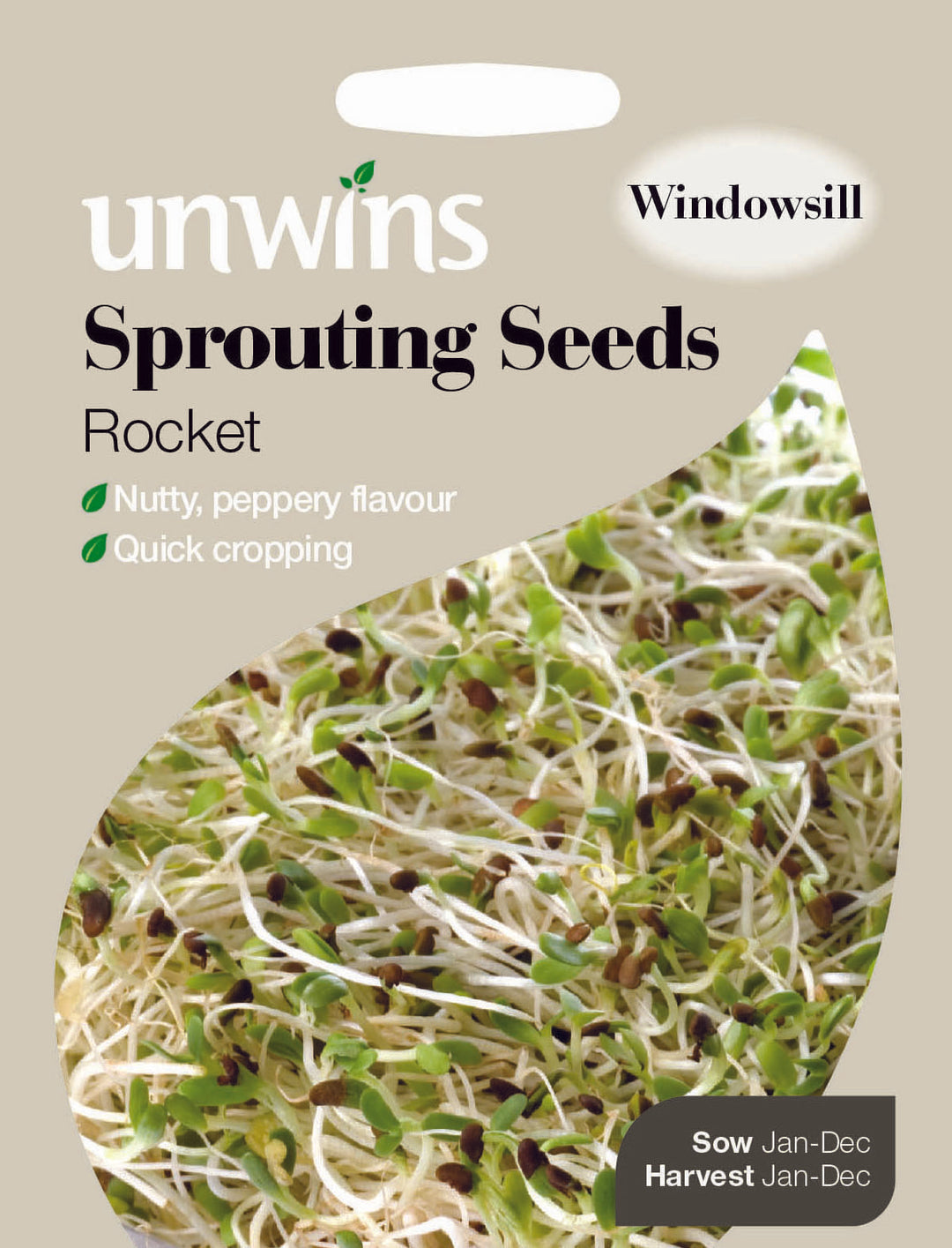 Sprouting Seeds Rocket