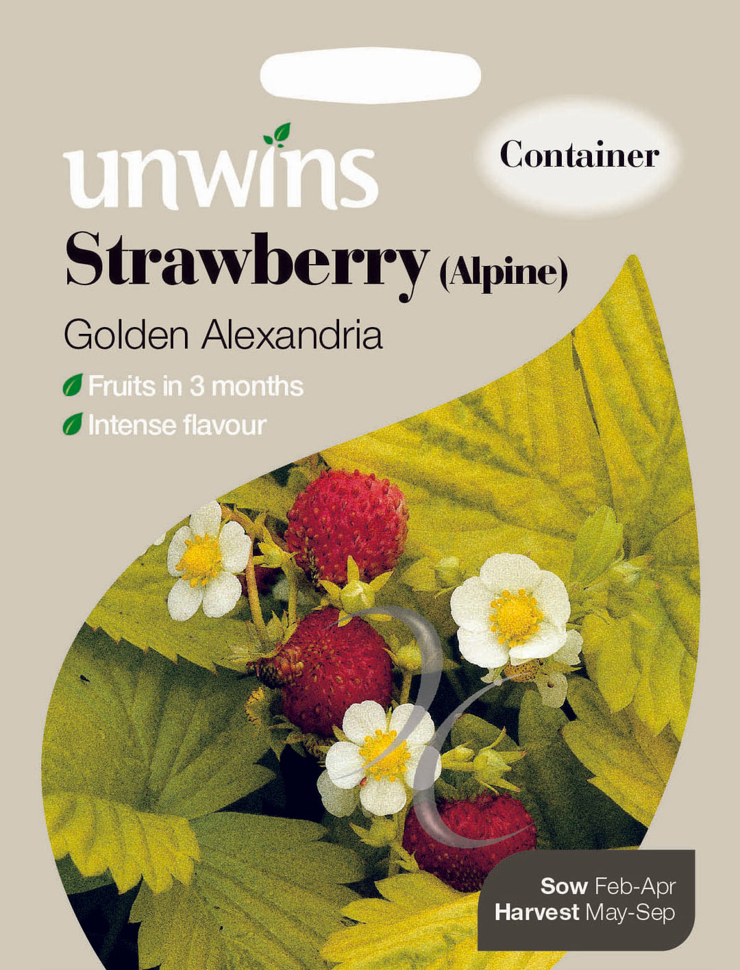 Strawberry (Alpine) Golden Alexandria