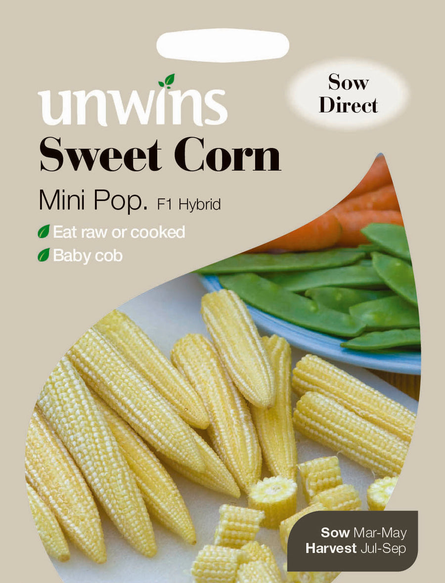 Mini Soft Corn Buy Sweet Corn Mini Pop Online | Windyridge Garden Centre – Windyridge ...