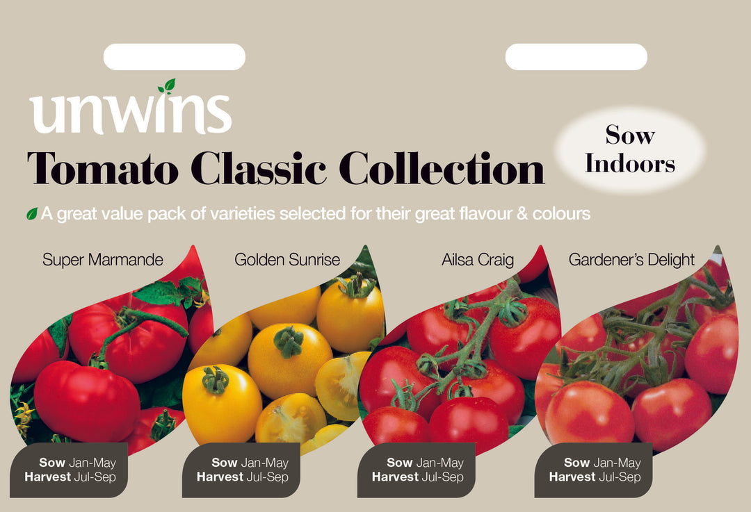 Tomato Classic Collection