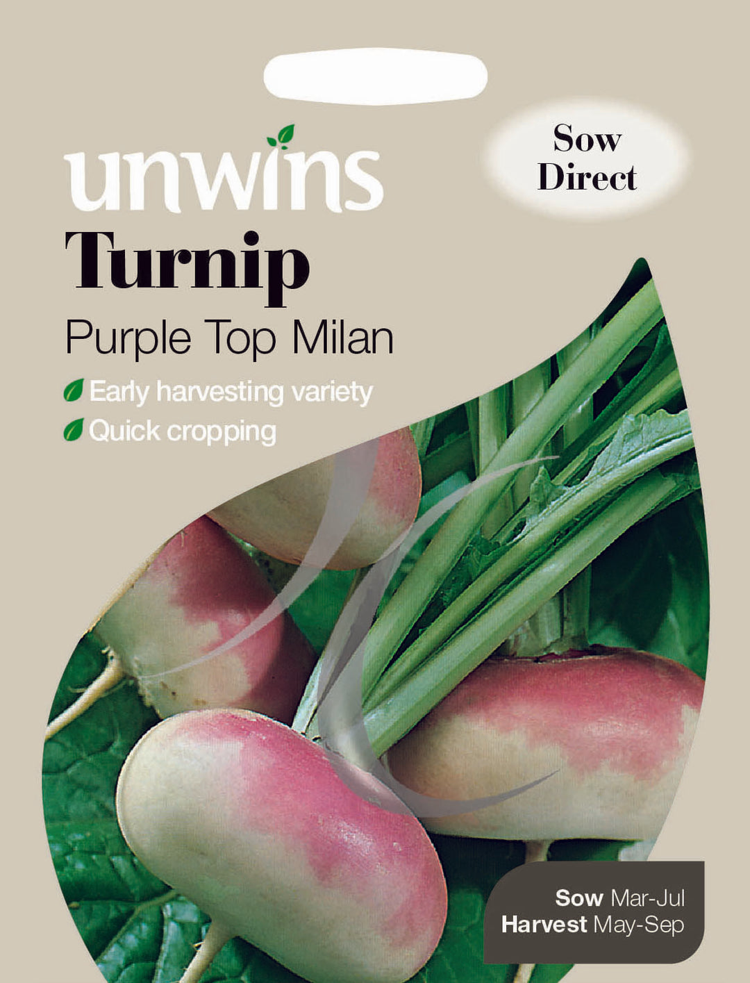 Turnip Purple Top Milan