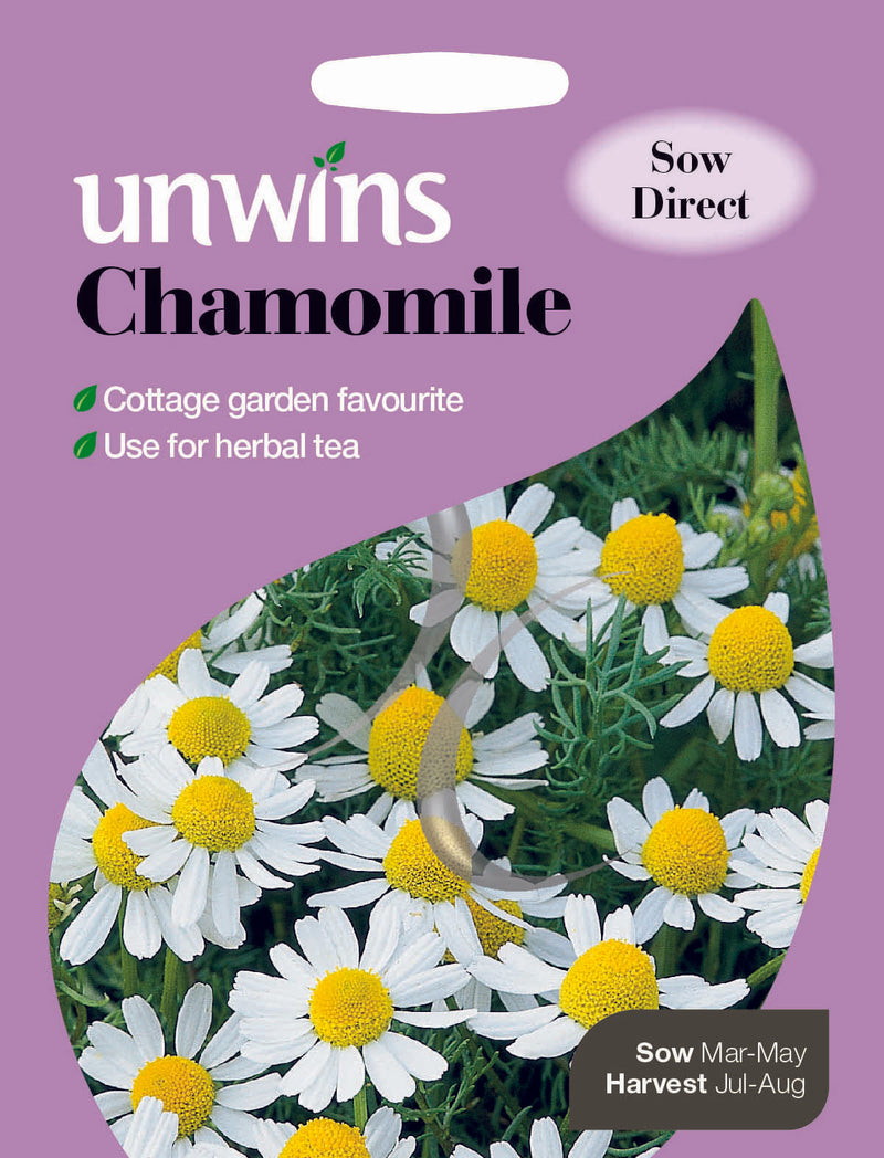 Herb Chamomile