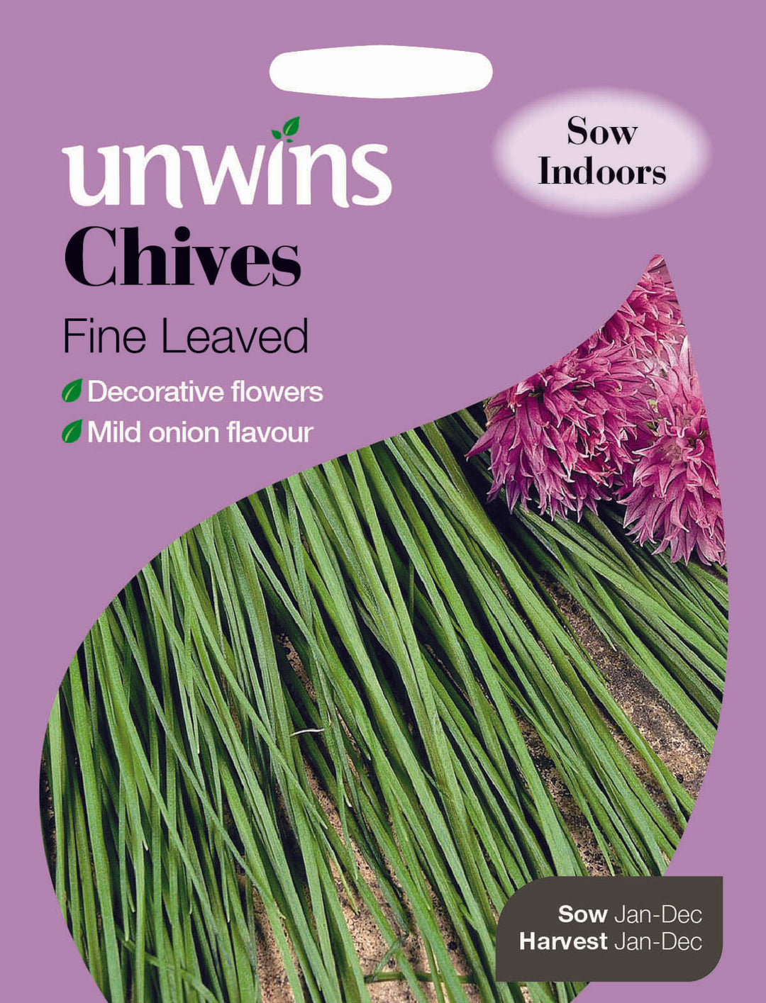 Herb Chives Fine Leaved