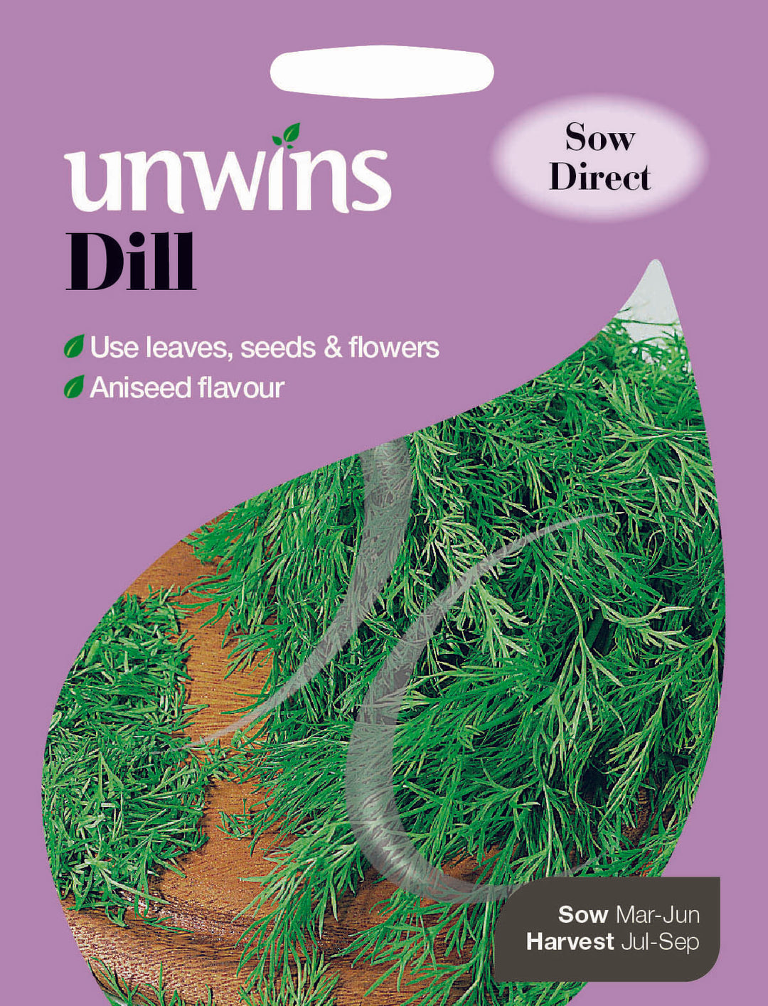 Herb Dill
