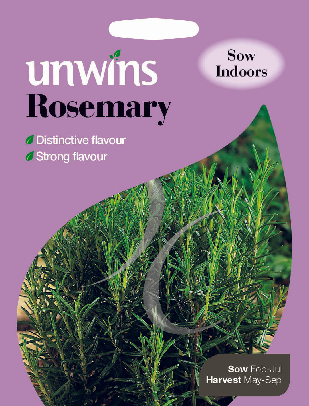 Herb Rosemary