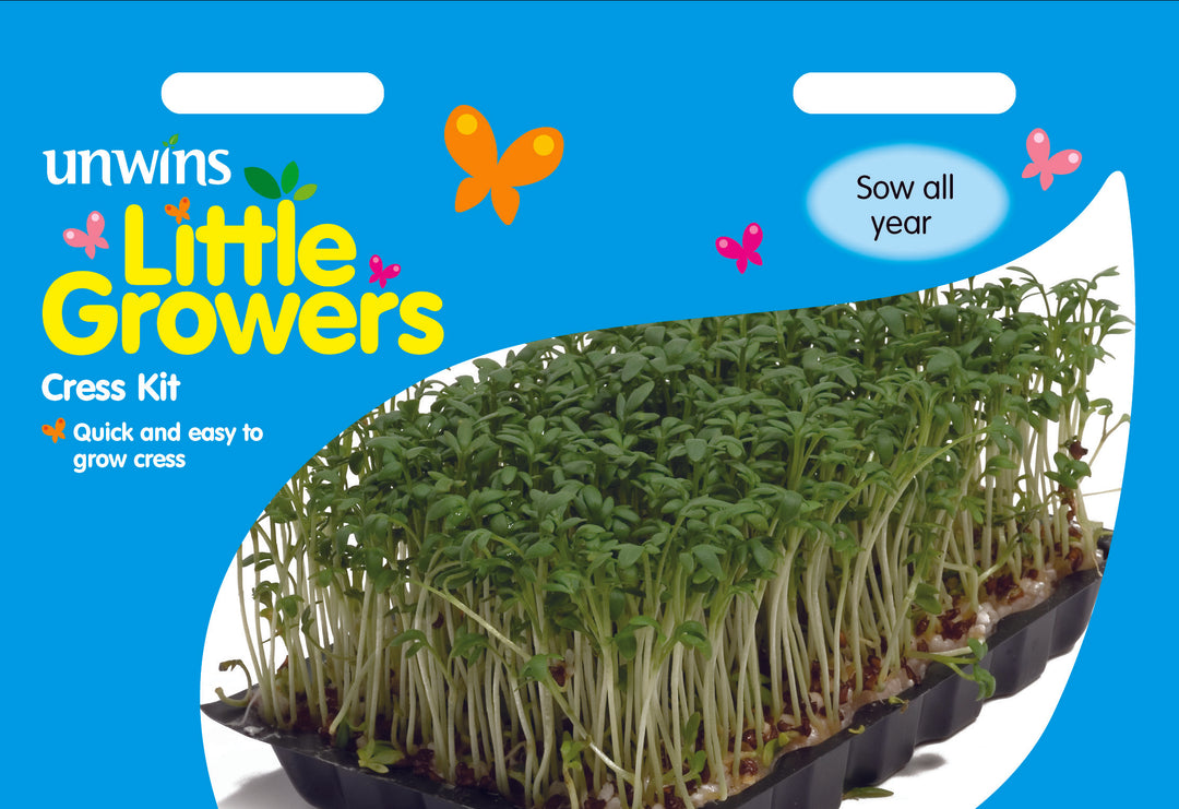 Little Growers Cress Kit