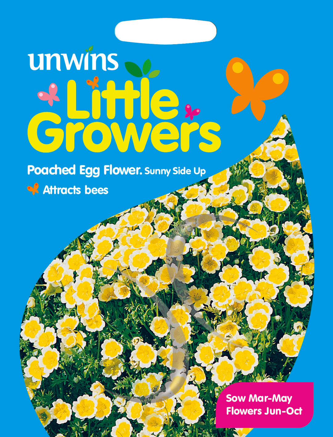 Little Growers Poached Egg Flower Sunnyside