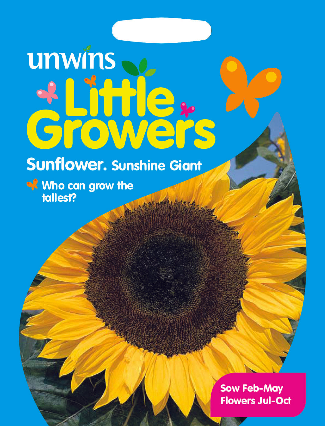 Little Growers Sunflower Sunshine Giant