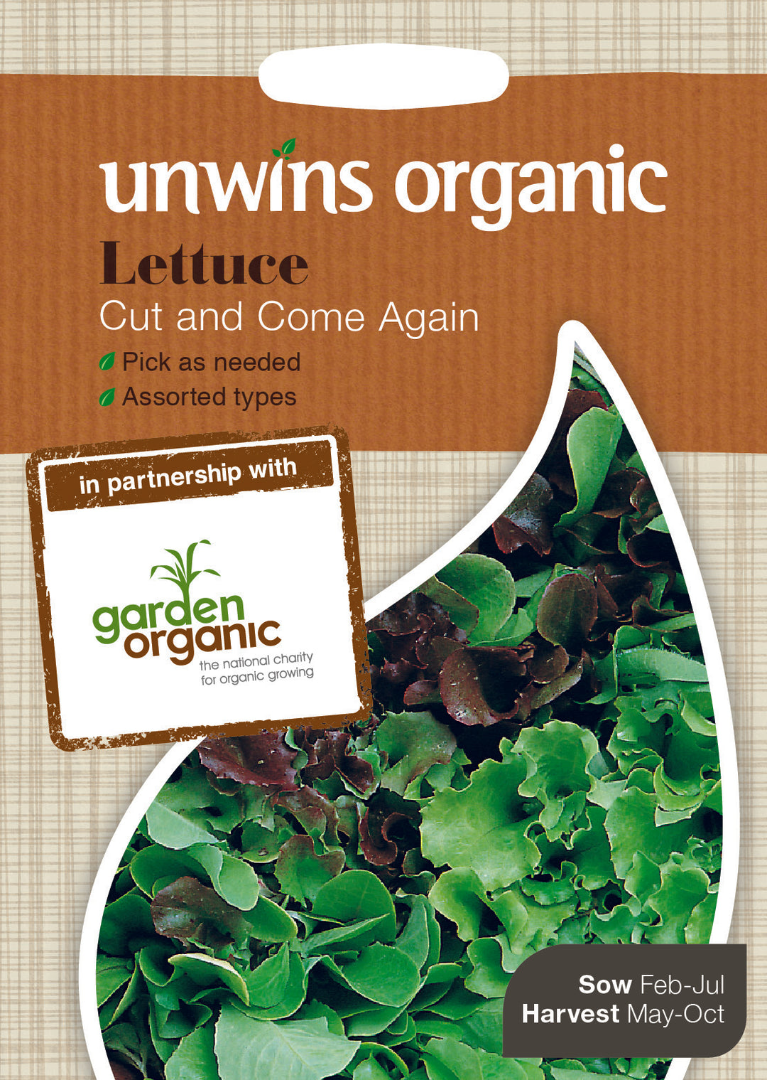 Organic lettuce cut and come again