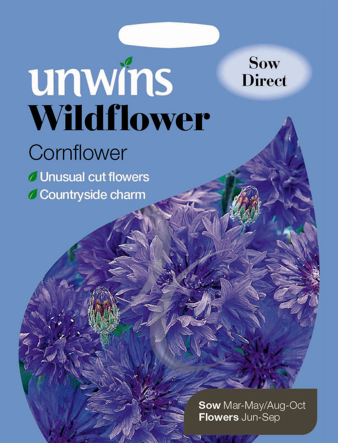 Wildflower Cornflower - Seed Packets - Windyridge Garden Centre