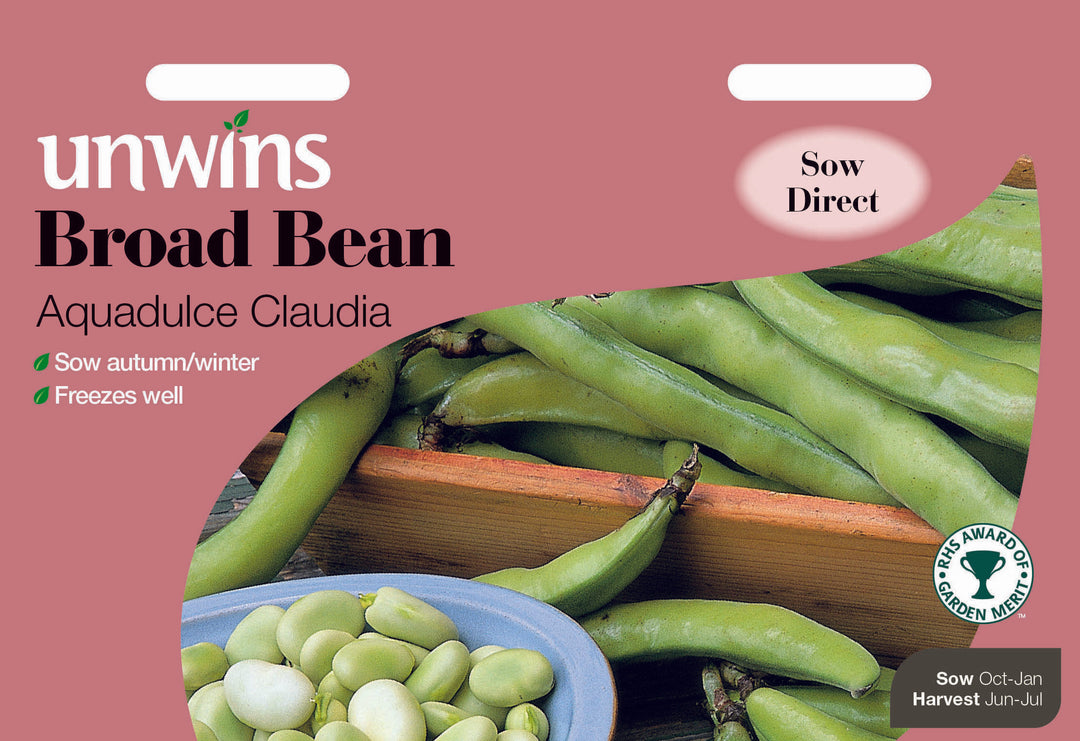 Broad Bean Aquadulce Claudia