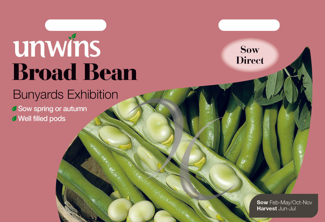 Broad Bean Bunyards Exhibition