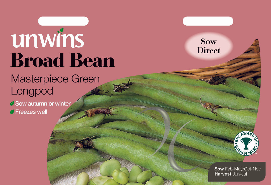 Broad Bean Masterpiece Green Longpod