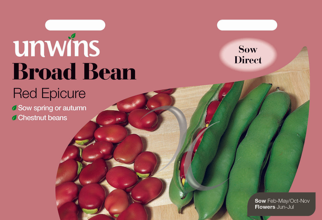 Broad Bean Red Epicure