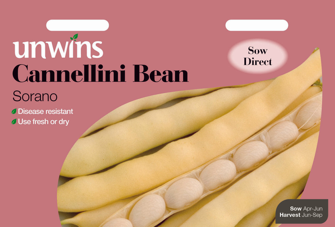 Cannellini Bean Sorano