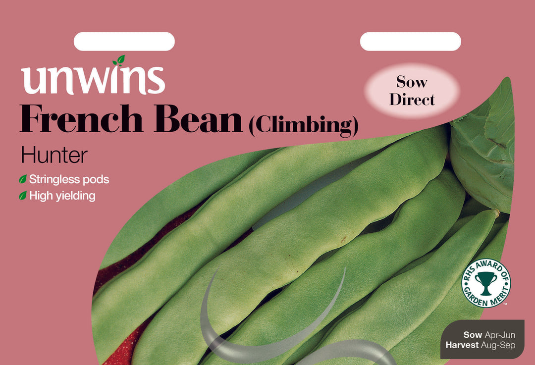 French Bean (Climbing) Hunter