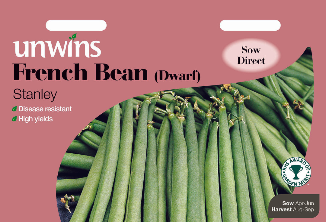 French Bean (Dwarf) Stanley