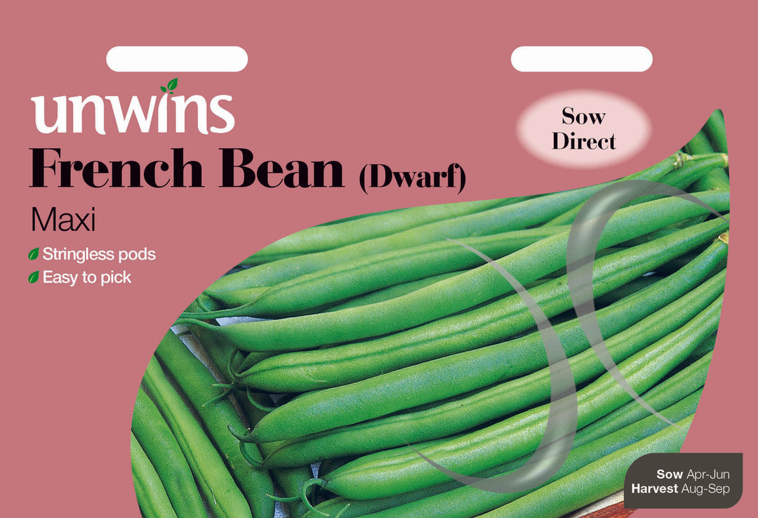 French Bean (Dwarf) Maxi
