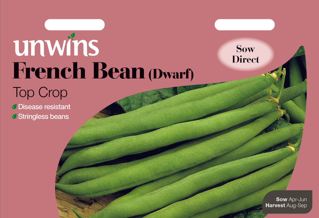 French Bean (Dwarf)Top Crop