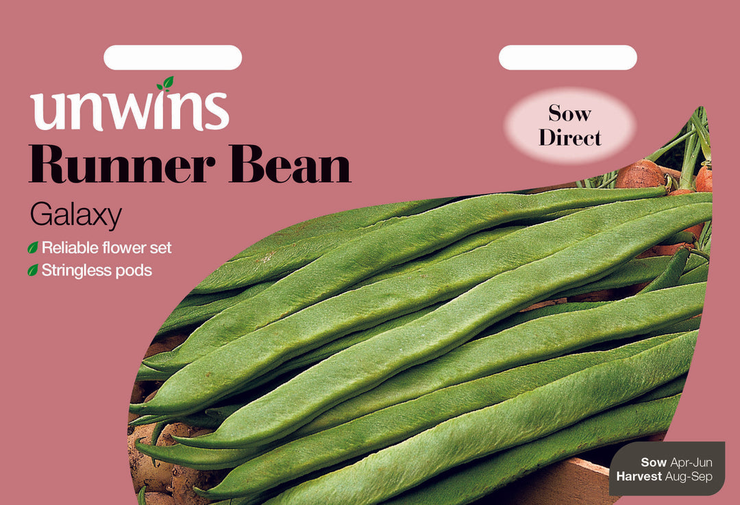 Runner Bean Galaxy